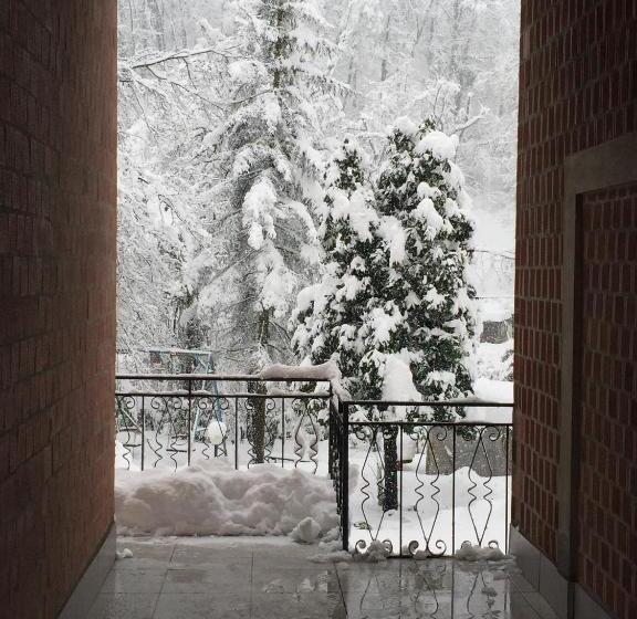 호스텔 Locanda Irene