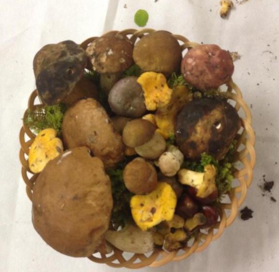 호스텔 Locanda Irene