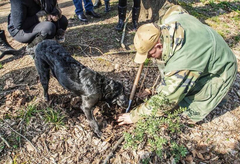 Отель Agriturismo Bombina