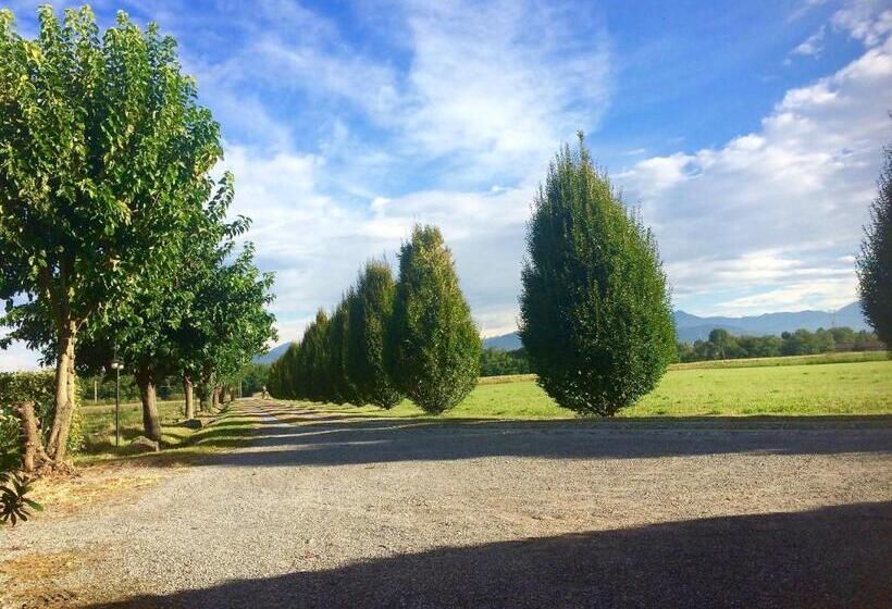 בית מלון כפרי Agriturismo Cà Del Lupo