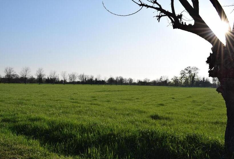 בית מלון כפרי Agriturismo Cà Del Lupo