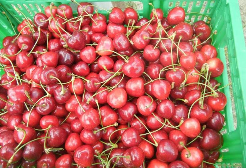 ホテル Agriturismo Calderino