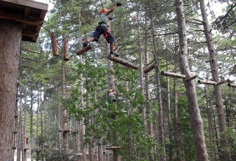 בית מלון כפרי Agriturismo Colle Tripio