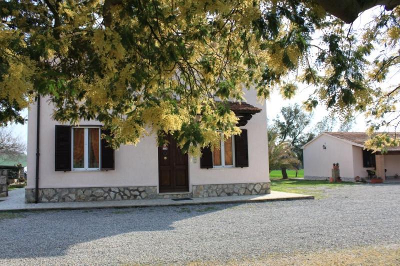 בית מלון כפרי Agriturismo Da Remo