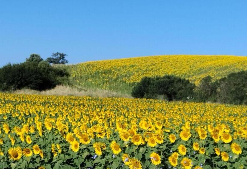 בית מלון כפרי Agriturismo Da Remo