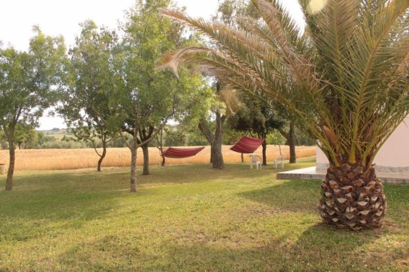 בית מלון כפרי Agriturismo Da Remo