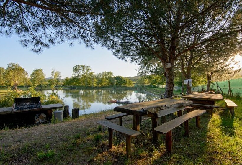 酒店 Agriturismo Le Terrazze