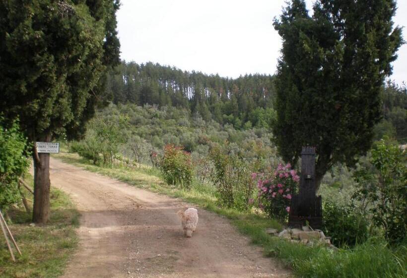 هتل Agriturismo Podere Torre