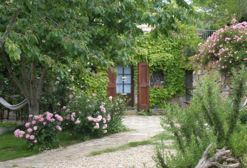 ホテル Agriturismo Podere Torre