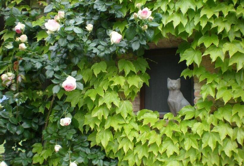 هتل Agriturismo Podere Torre