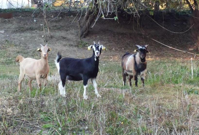 هتل Agriturismo Poponi