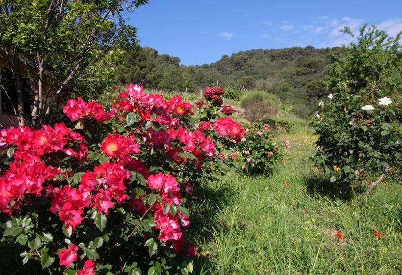 酒店 Agriturismo Valcrosa