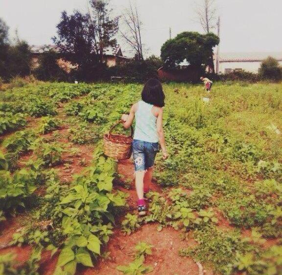 בית מלון כפרי Biobagnolese Agriturismo