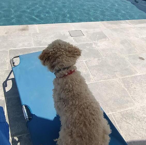 בית מלון כפרי Cascina Formighezzo