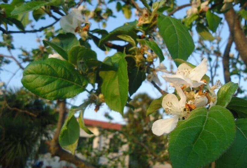 هتل Iacovino Country House