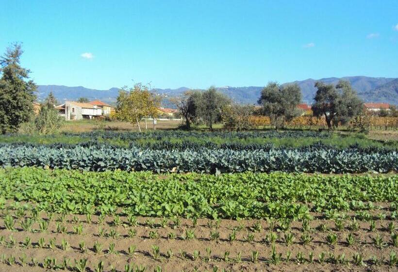 هتل Iacovino Country House