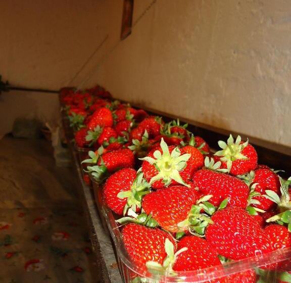 هتل Iacovino Country House