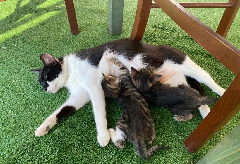 호텔 Lo Scoiattolo Country House