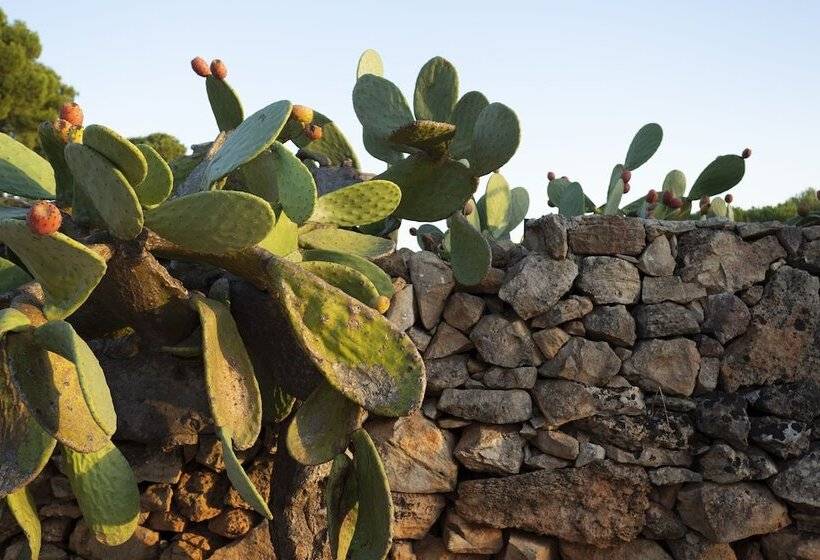 ホテル Podere40 Country