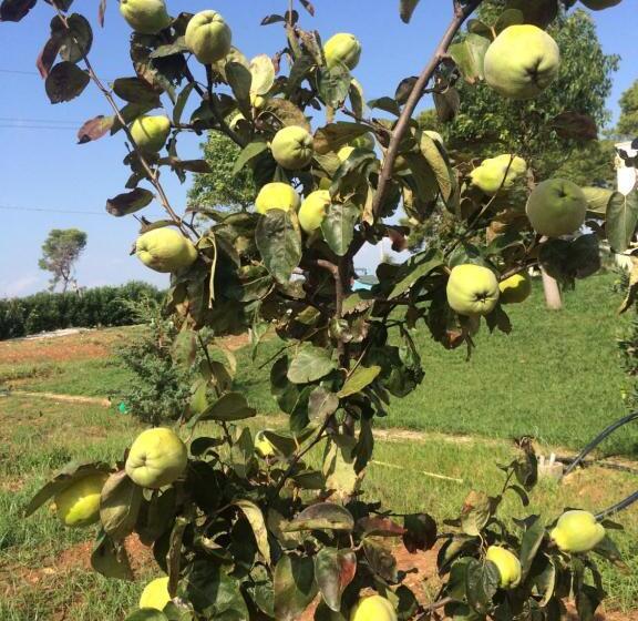 ホテル Podere40 Country