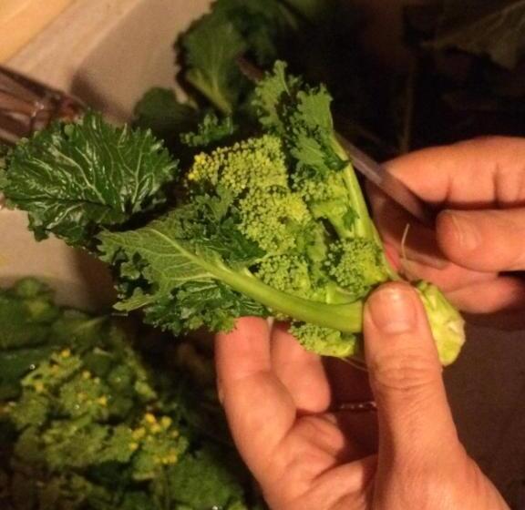 ホテル Podere40 Country