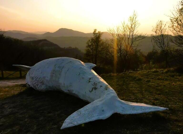 فندق Relais Cà Del Rio