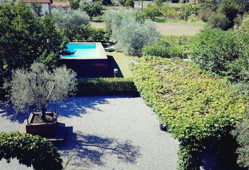 פנסיון Salvia E Rosmarino   Affittacamere In Liguria