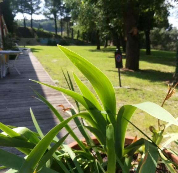 ペンション Camere L'eremo