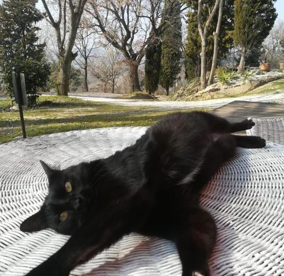 ペンション Camere L'eremo