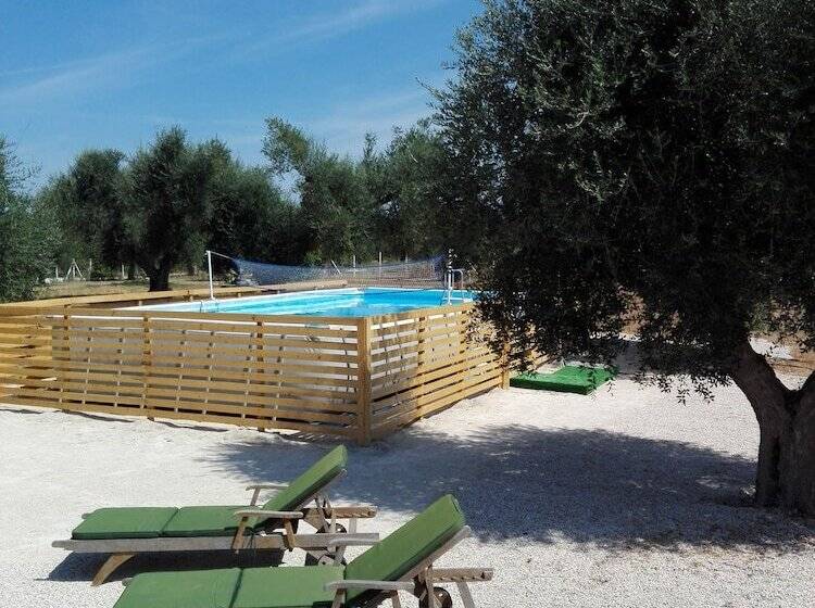 פנסיון Il Casolare Degli Ulivi