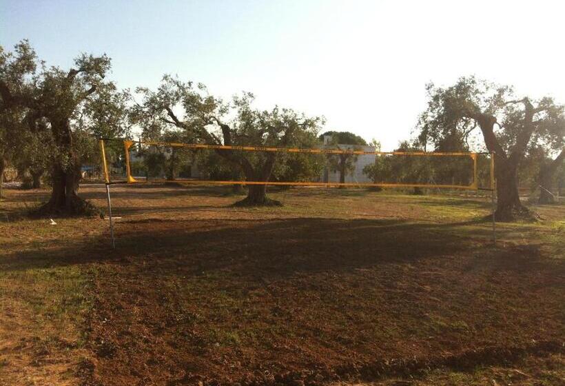 פנסיון Il Casolare Degli Ulivi