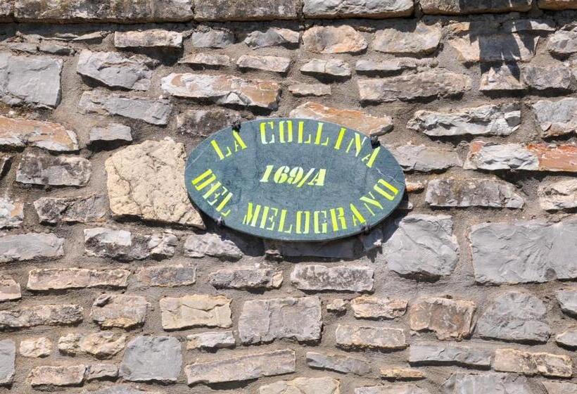 פנסיון La Collina Del Melograno