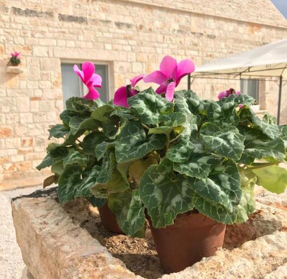 膳宿费 Marinella Suite Home