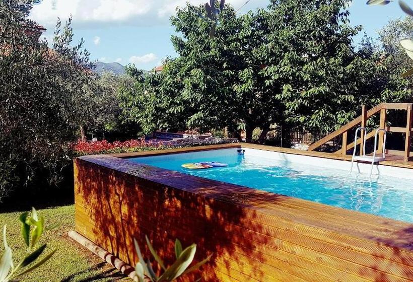 פנסיון Salvia E Rosmarino   Affittacamere In Liguria