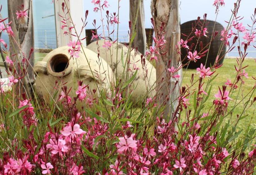 ペンション Villa Delle Anfore