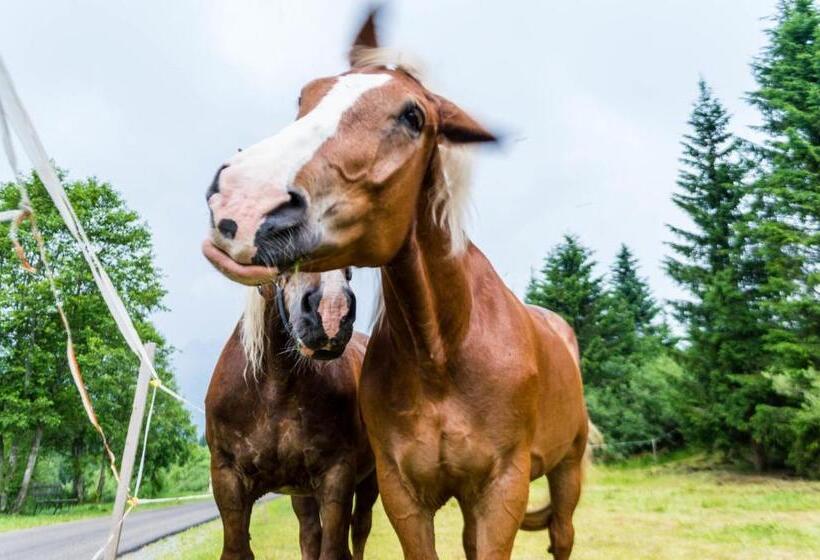 Residence Cavanis Wellness & Spa