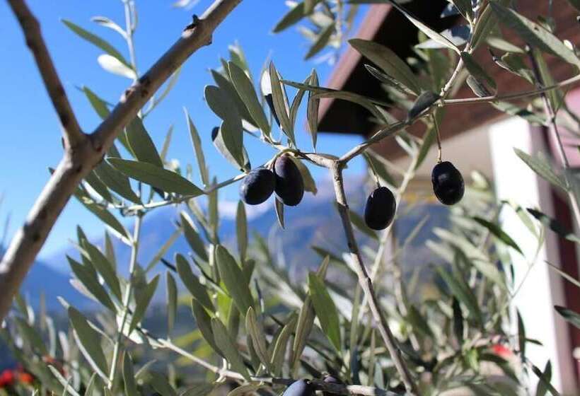 Schenna Garni Eden Bed & Breakfast