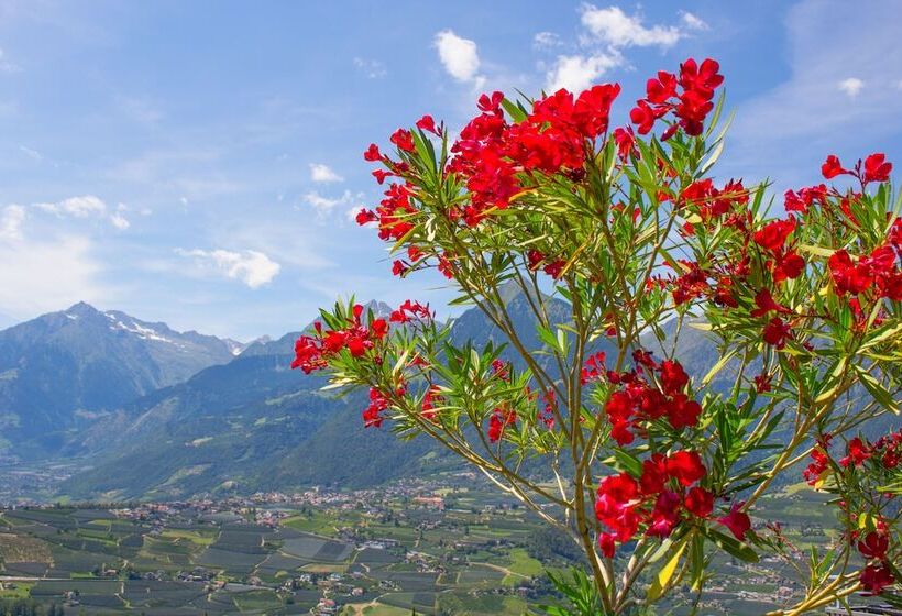 Schenna Garni Eden Bed & Breakfast