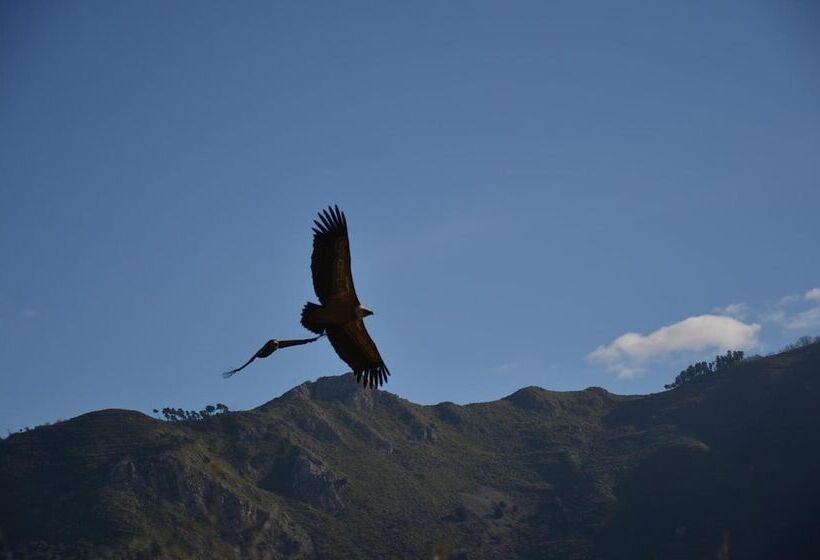 Vuelle Residence Apartments