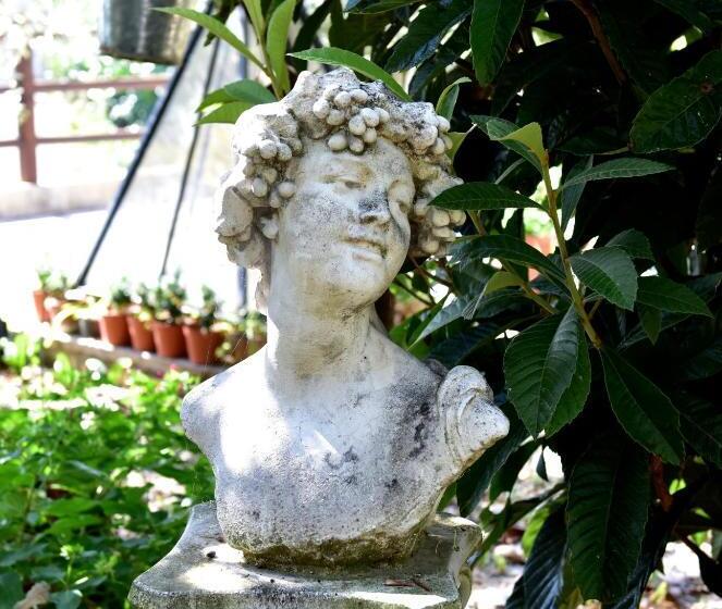 旅馆 Locanda Dei Boi