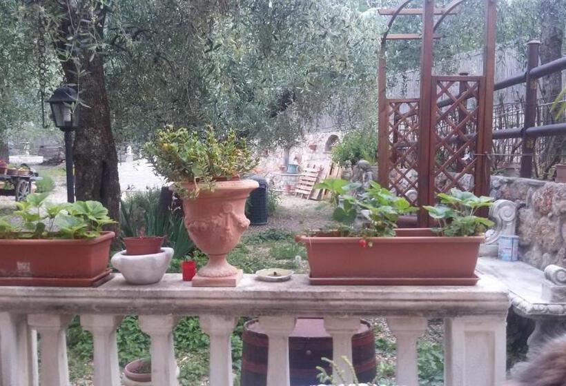 旅馆 Locanda Dei Boi