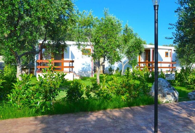 هتل Agriturismo Antichi Ulivi