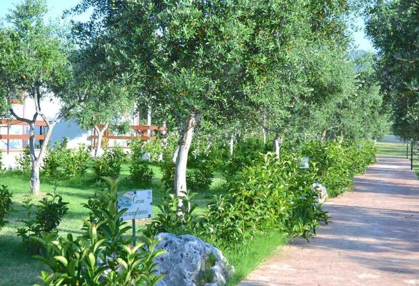 هتل Agriturismo Antichi Ulivi