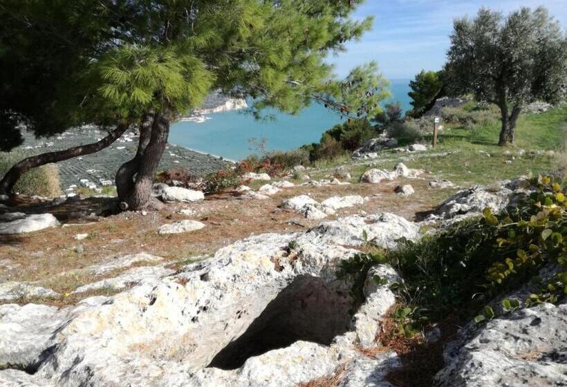 هتل Agriturismo Antichi Ulivi