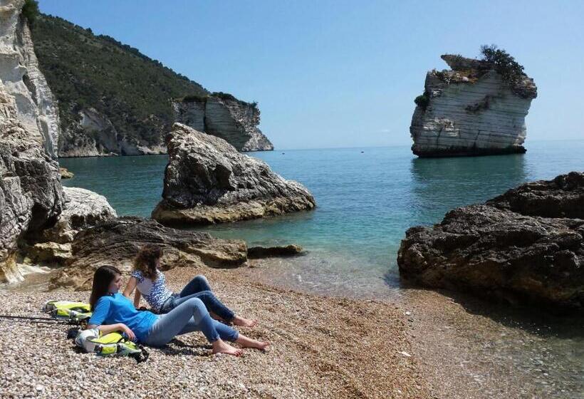 هتل Agriturismo Antichi Ulivi