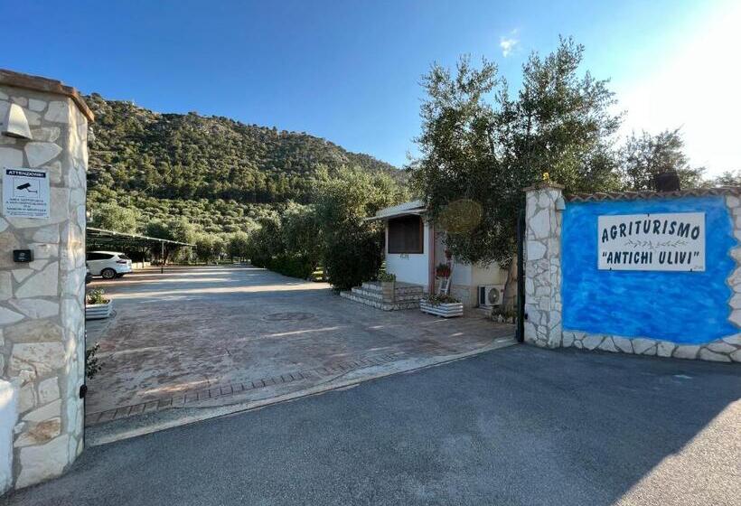 هتل Agriturismo Antichi Ulivi