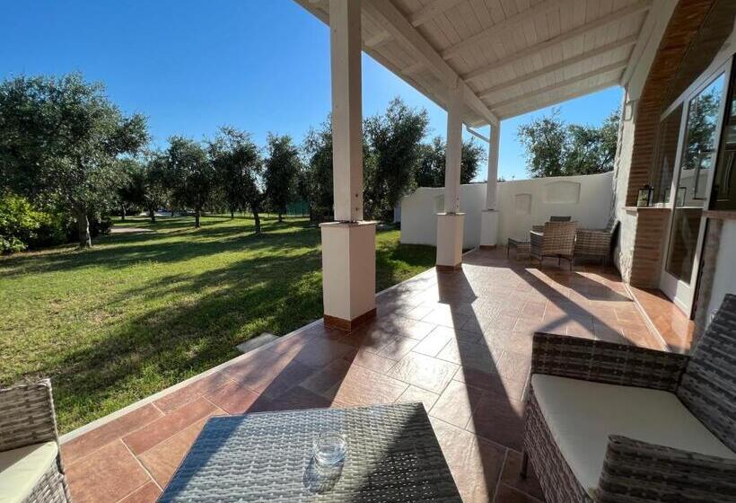 هتل Agriturismo Antichi Ulivi