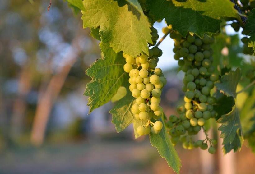 בית מלון כפרי Agriturismo Arte Et Agricoltura