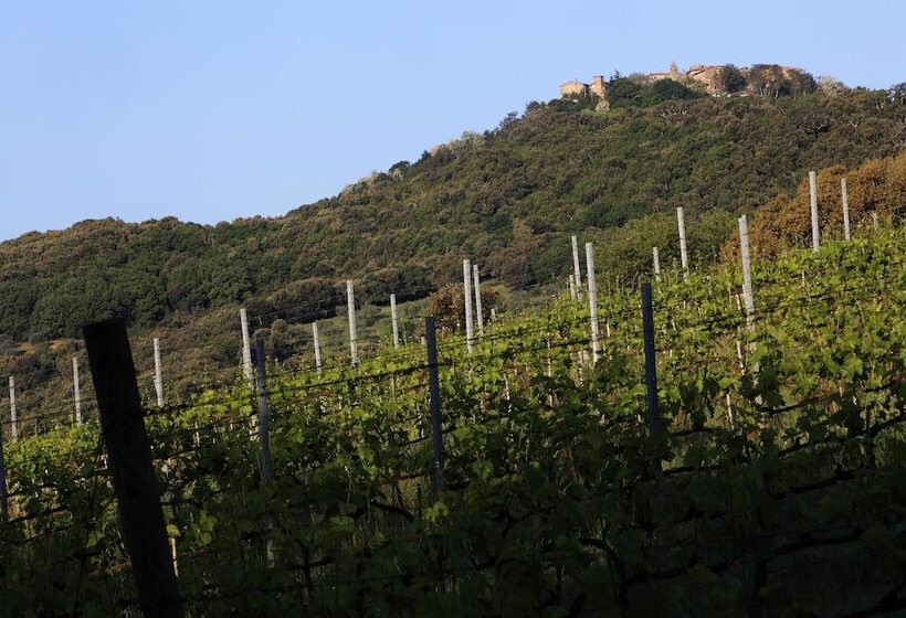 בית מלון כפרי Agriturismo Belvedere Di Pierini E Brugi