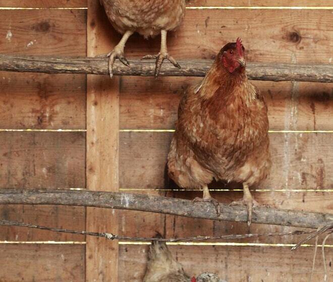 בית מלון כפרי Agriturismo Belvedere Di Pierini E Brugi